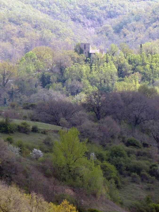 Torre Di Pornello Apartment Bagian luar foto